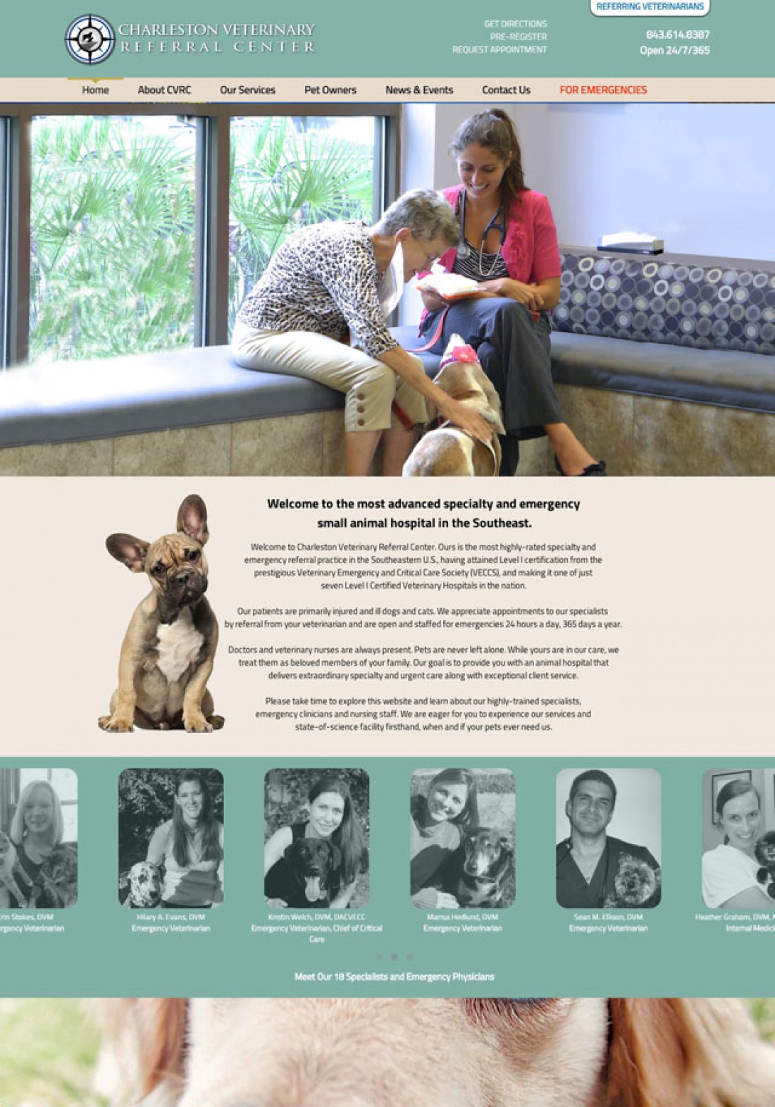 Veterinary website design and development Charleston SC The Bosworth